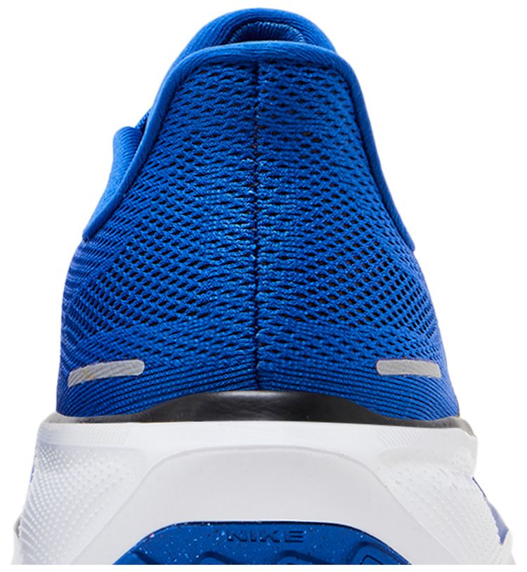 Nike Air Zoom Pegasus 41 Duke