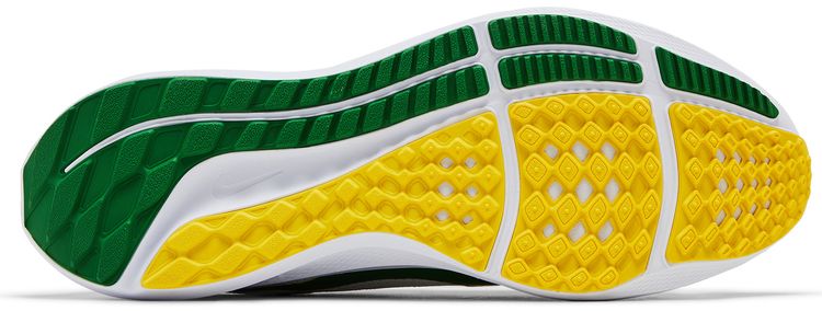 Nike Air Zoom Pegasus 40 Oregon