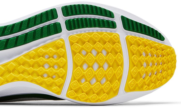 Nike Air Zoom Pegasus 40 Oregon