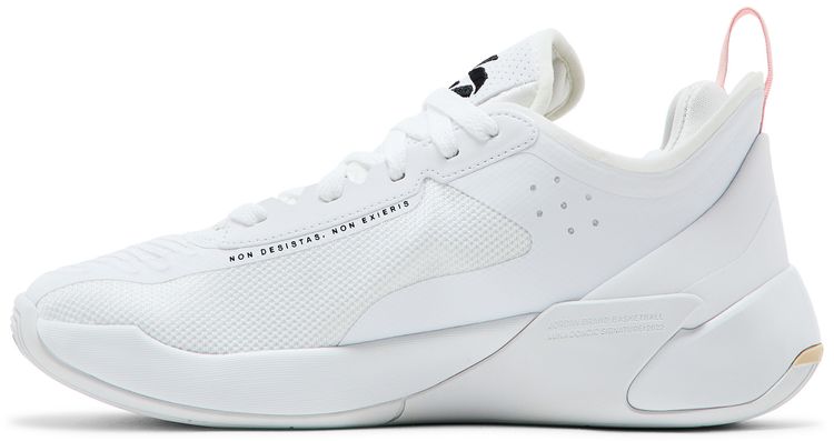 Air Jordan Luka 1 GS My Dawgs