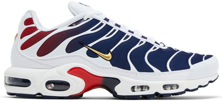 Paris Saint Germain x Nike Air Max Plus Home Kit