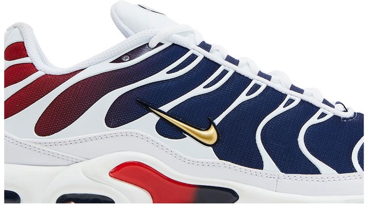 Paris Saint Germain x Nike Air Max Plus Home Kit