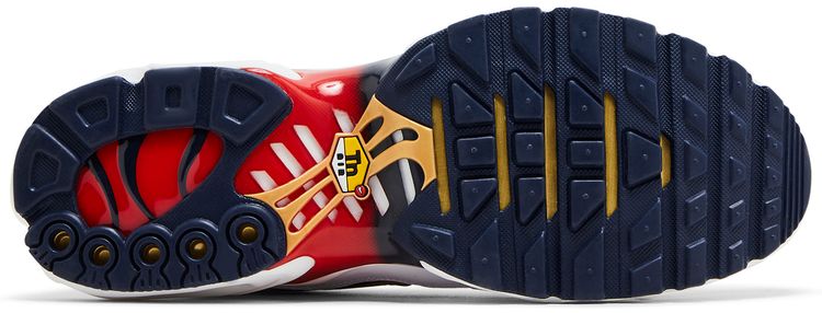 Paris Saint Germain x Nike Air Max Plus Home Kit