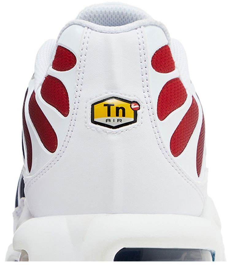 Paris Saint Germain x Nike Air Max Plus Home Kit