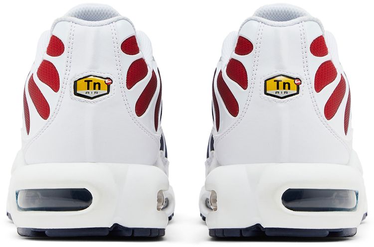 Paris Saint Germain x Nike Air Max Plus Home Kit