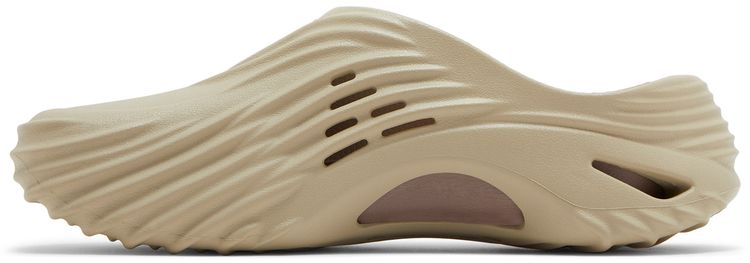 Echo Wave Moth
