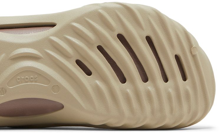 Echo Wave Moth