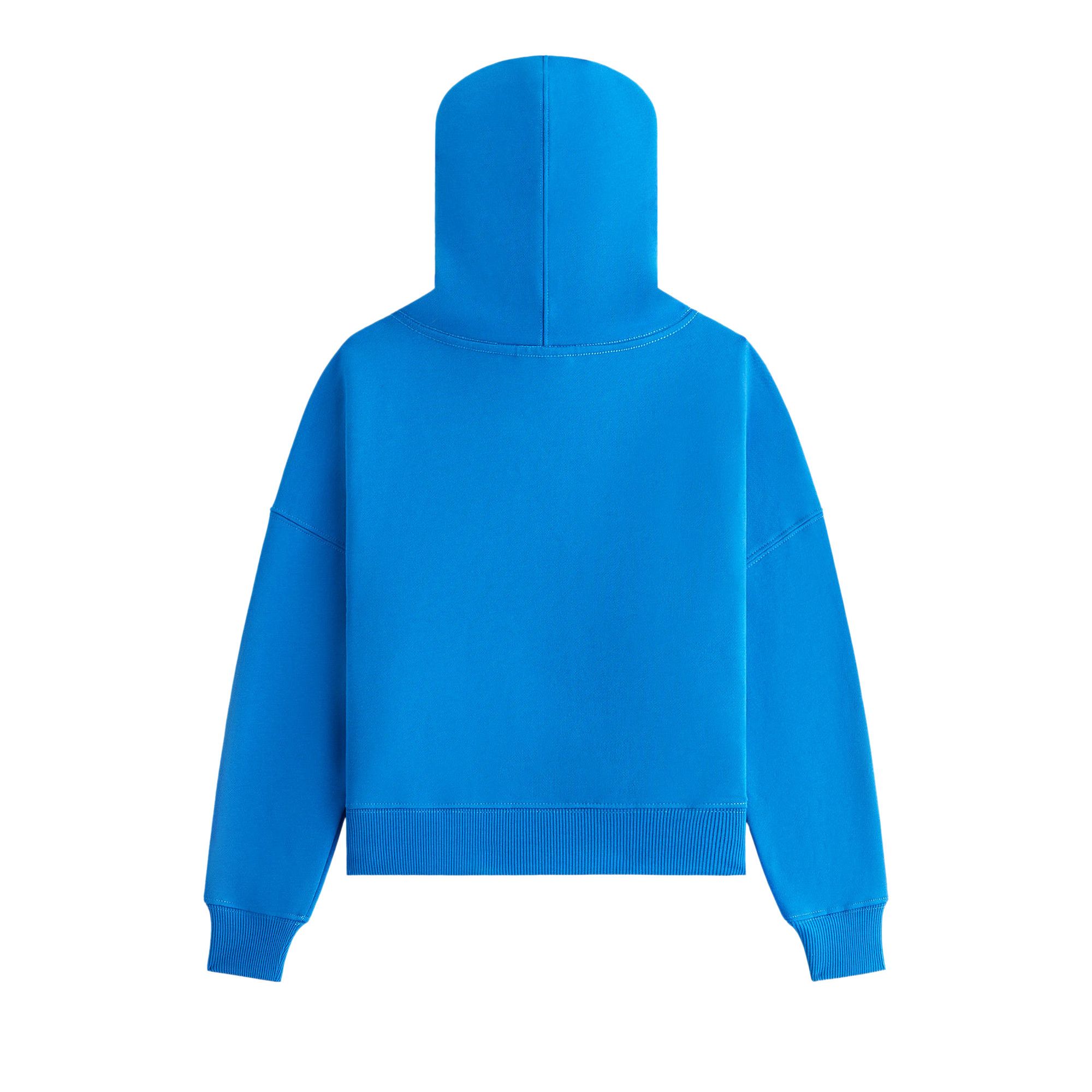 Buy Kith Kids x Sesame Street Cookie Monster Nelson Hoodie 'Voyage