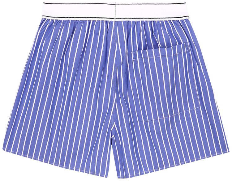 Sporty  Rich Serif Logo Boxer Shorts BlueWhite Stripe