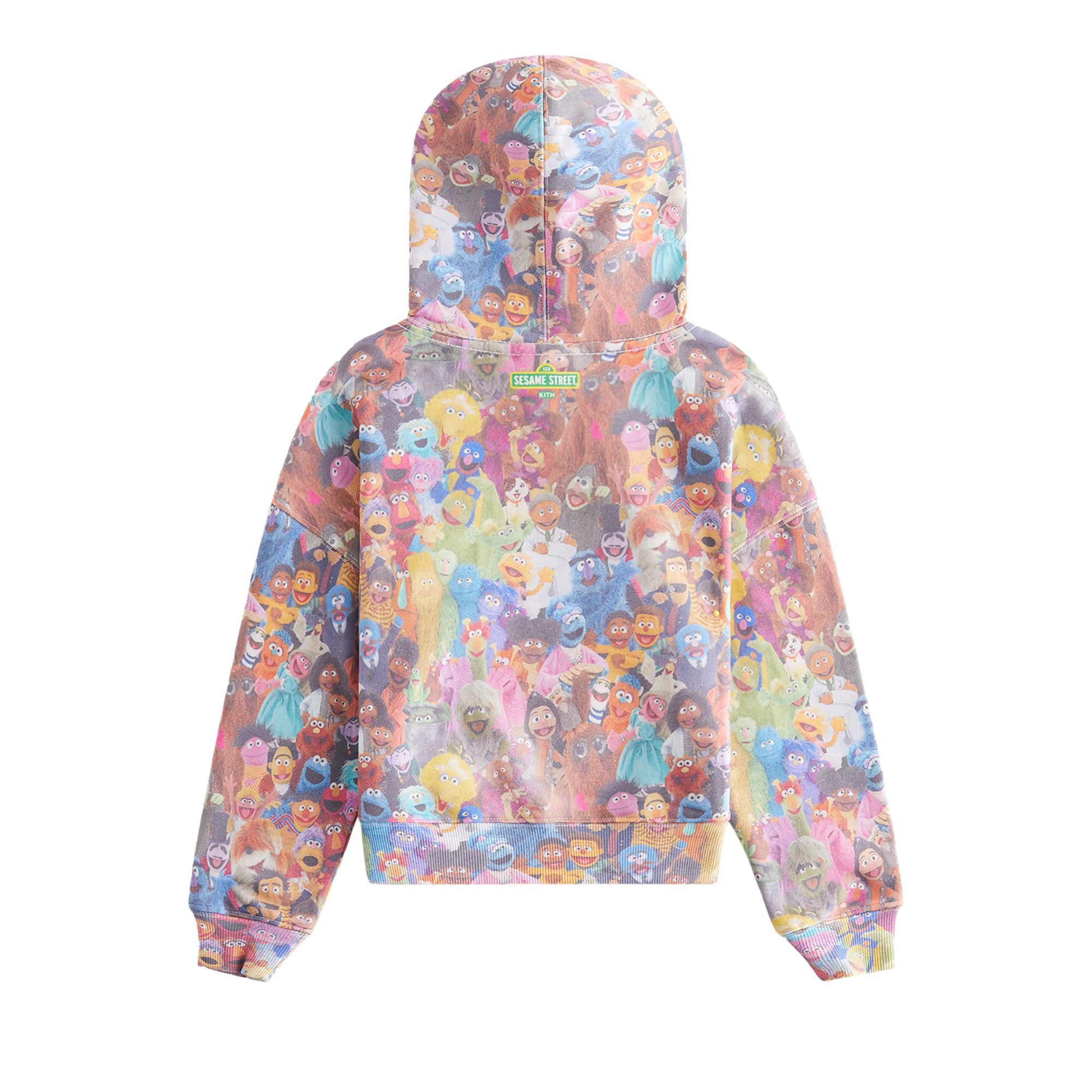 Buy Kith Kids x Sesame Street Family Nelson Hoodie 'Multicolor