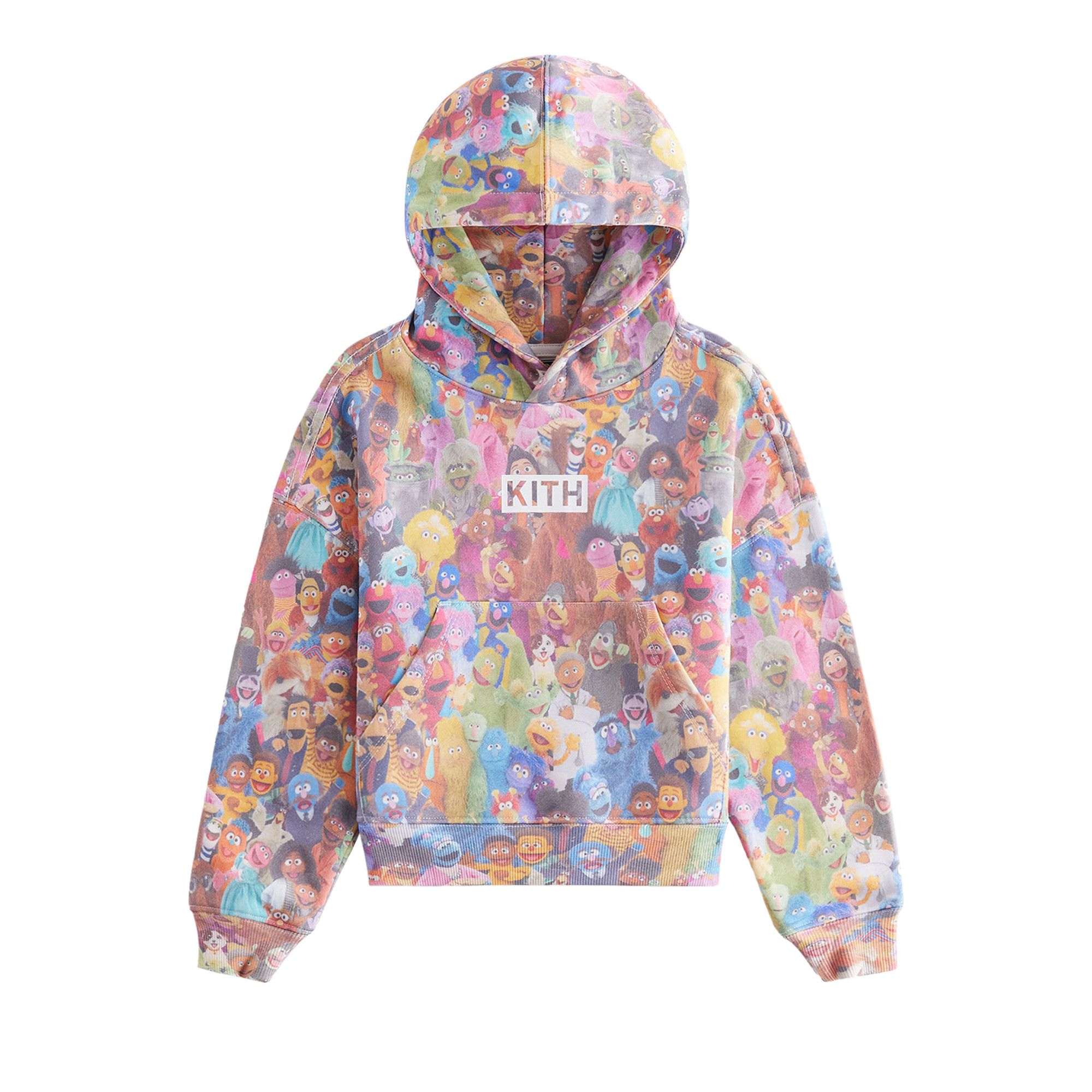 Buy Kith Kids x Sesame Street Family Nelson Hoodie 'Multicolor