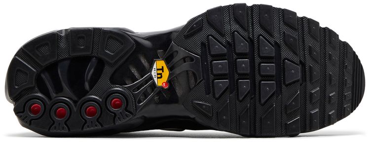 Nike Wmns Air Max Plus SE Black Chrome Silver