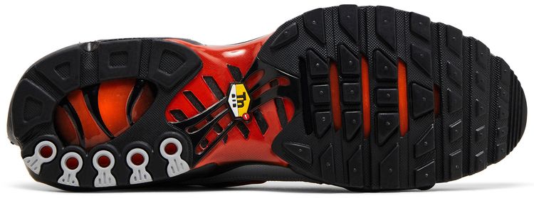 Nike Air Max Plus Wolf Grey Picante Red