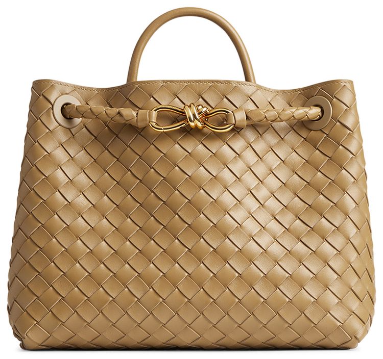 Bottega Veneta Medium Andiamo Bag Dark Praline