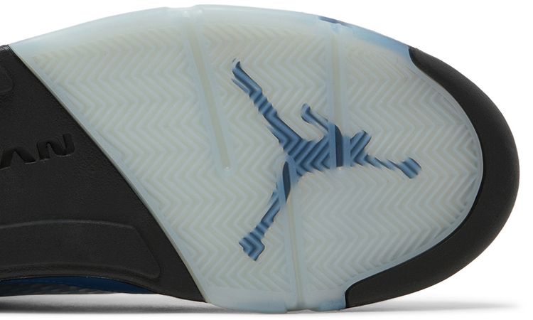 Air Jordan 5 Retro SE UNC Sample