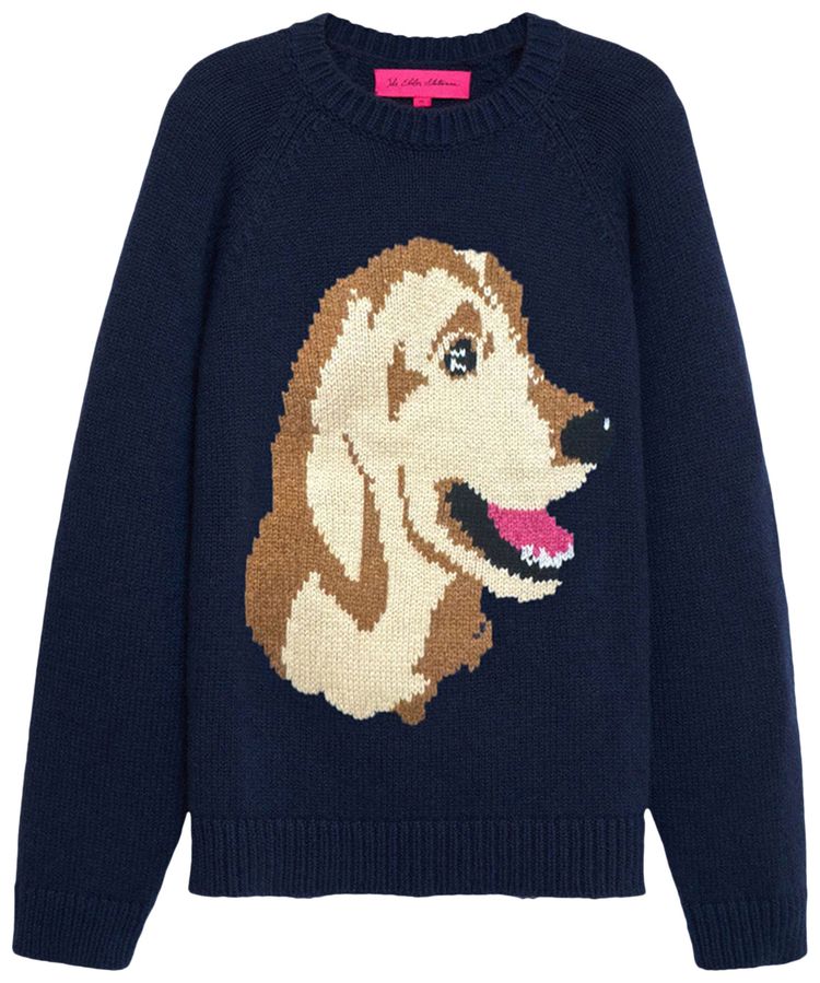 The Elder Statesman Retriever Raglan Crew Navy