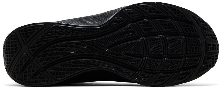 Nike LeBron TR 1 Black Metallic Gold