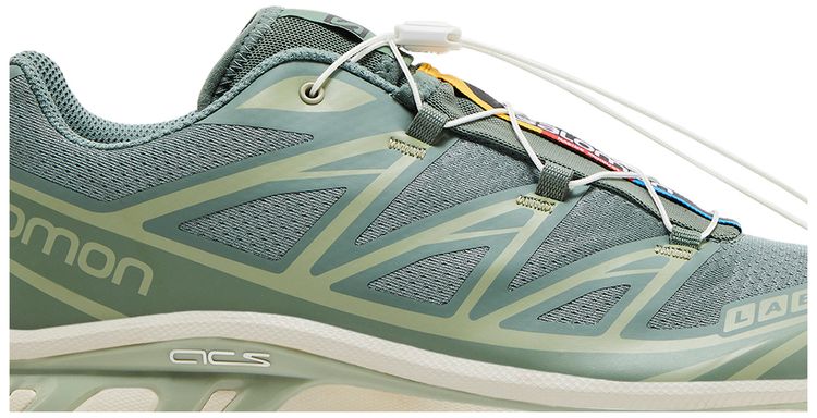 Salomon XT 6 Laurel Wreath