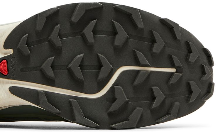 Salomon XT 6 Laurel Wreath