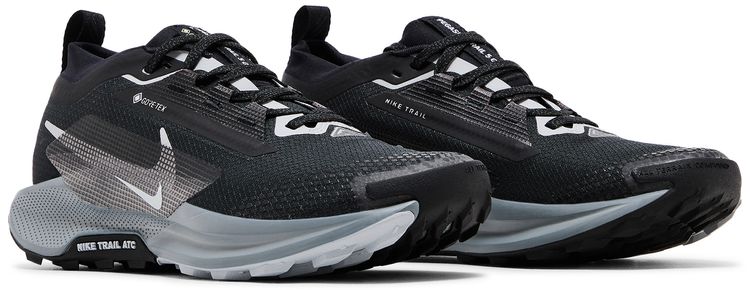 Nike Wmns Pegasus Trail 5 GORE TEX Black Wolf Grey