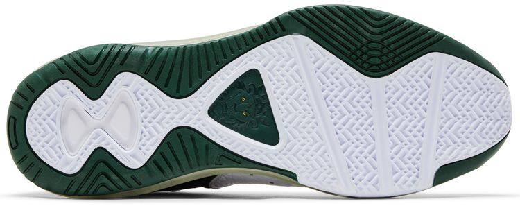 Nike Lebron 8 PE SVSM Home Sample