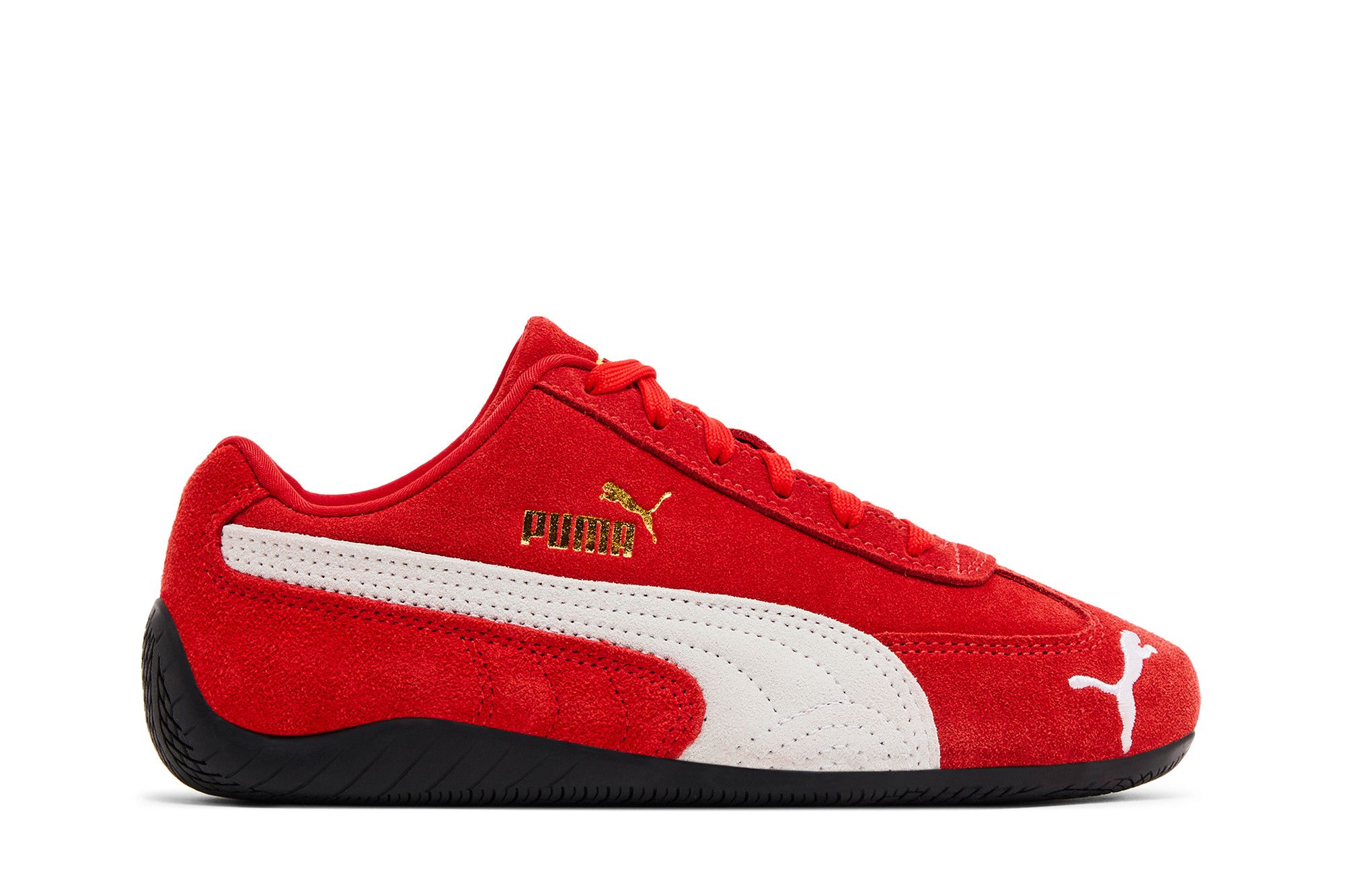 山猫 深山公園#猫 深山公園の猫たち。触らせてくれる猫も多い。