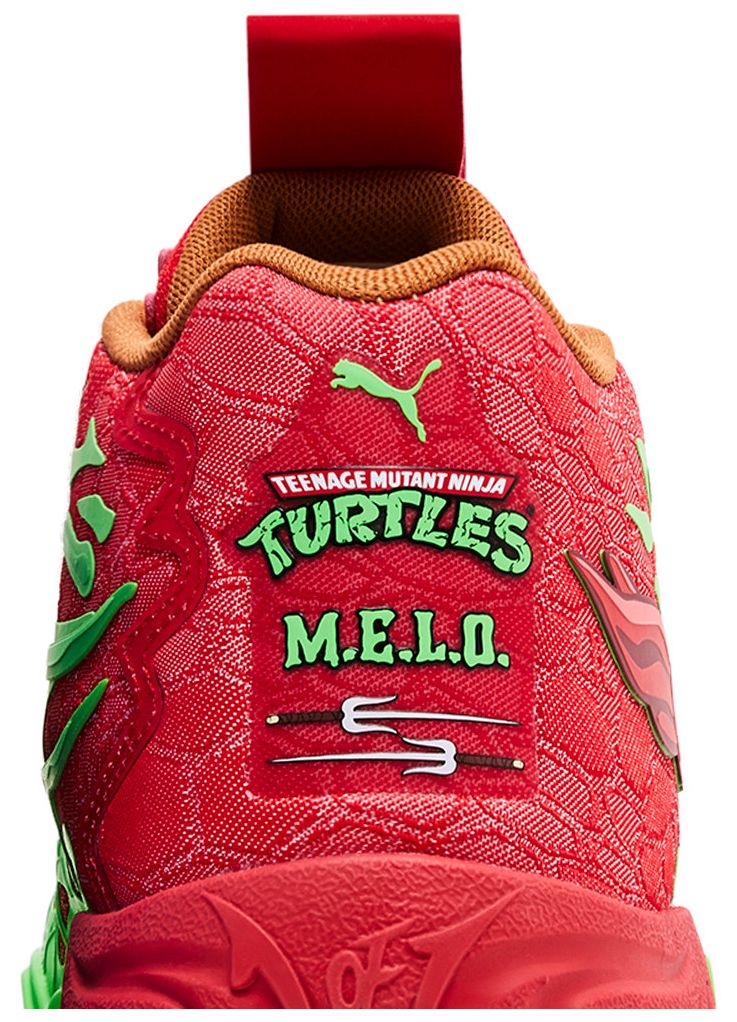 Teenage Mutant Ninja Turtles x MB04 Donatello  Raphael