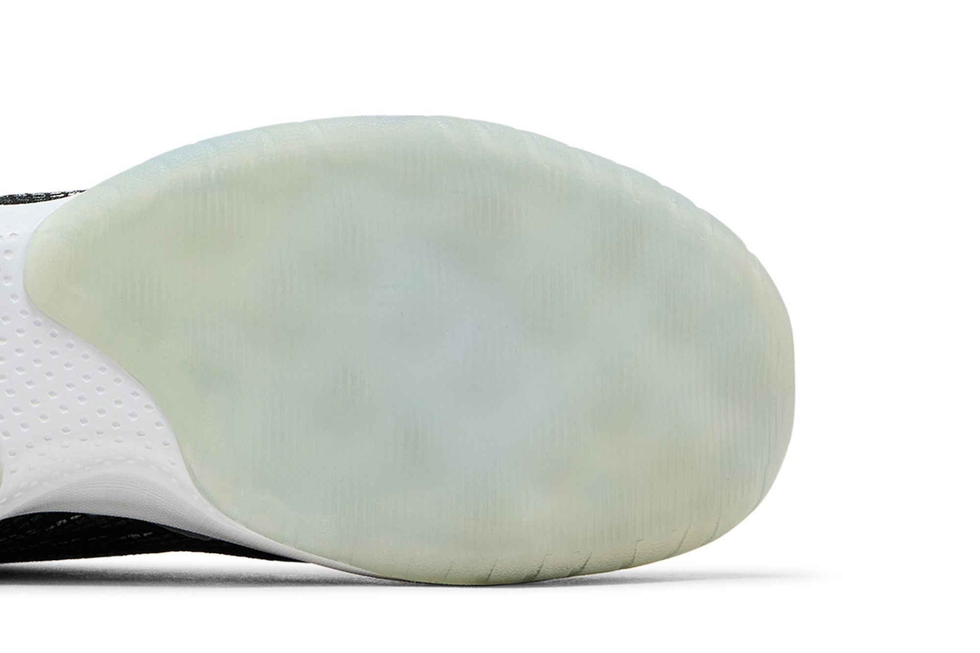 black bird,fly  白 _12.JPG?set_id=880000500F