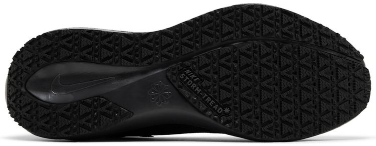 Nike Air Zoom Pegasus 41 GORE TEX Black Anthracite