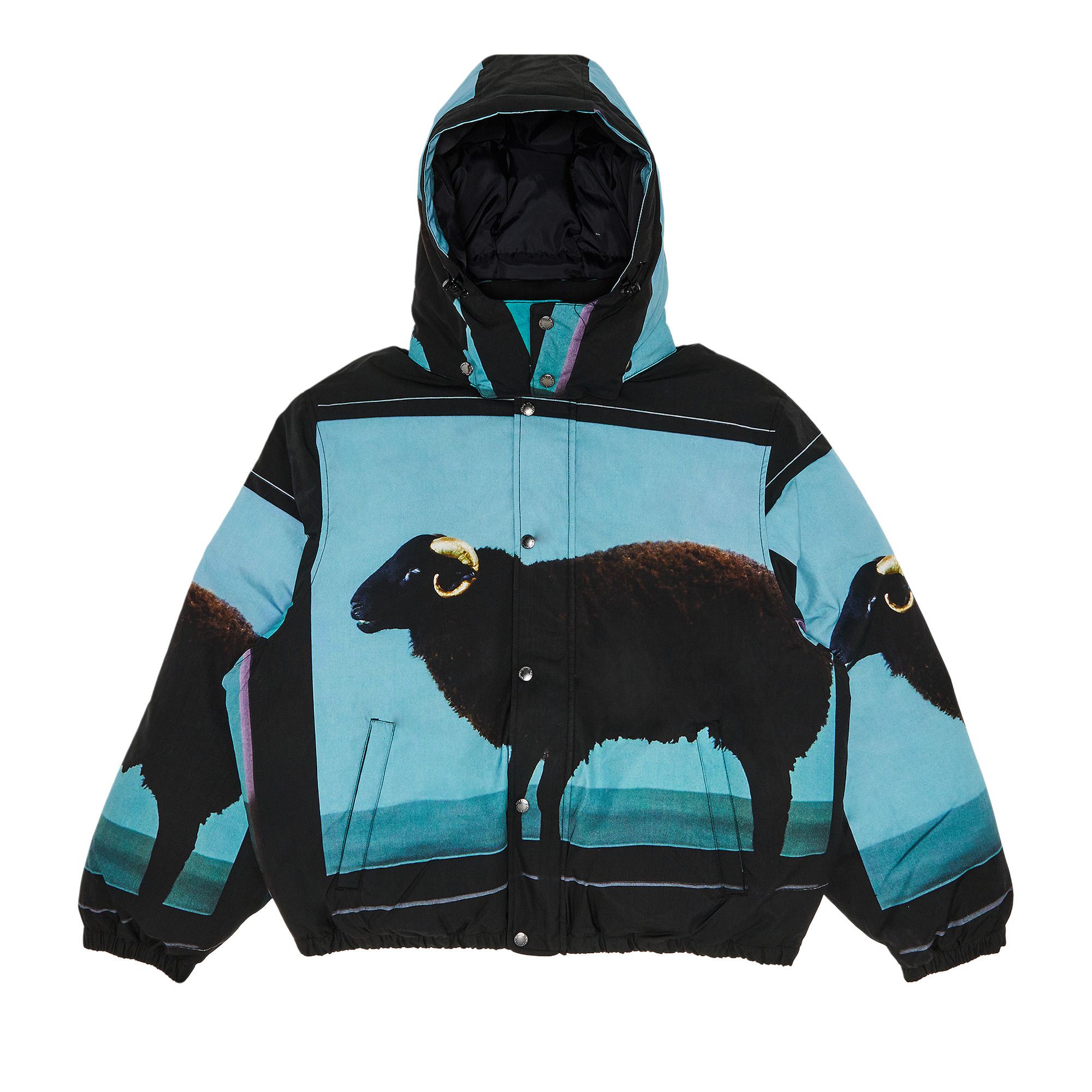 Buy Supreme x Damien Hirst Down Puffer Jacket 'Black