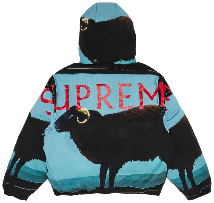 Supreme x Damien Hirst Down Puffer Jacket Black