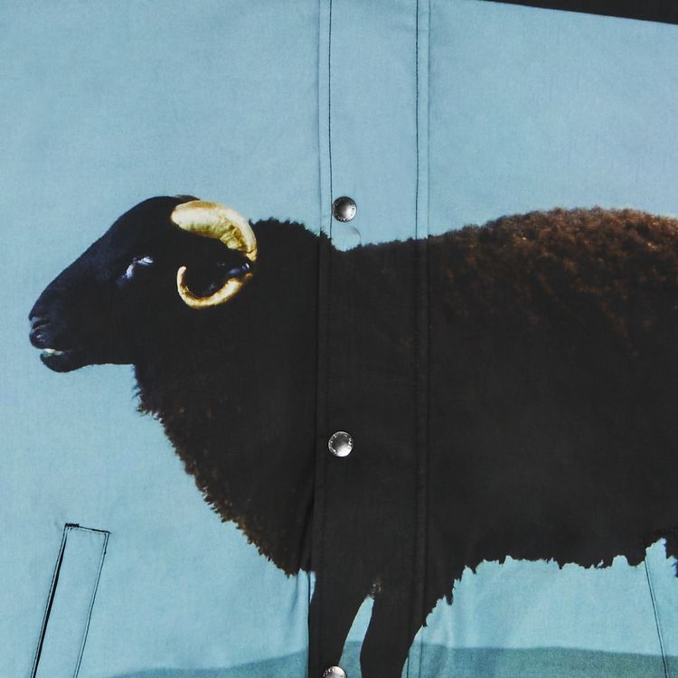 Supreme x Damien Hirst Down Puffer Jacket Black