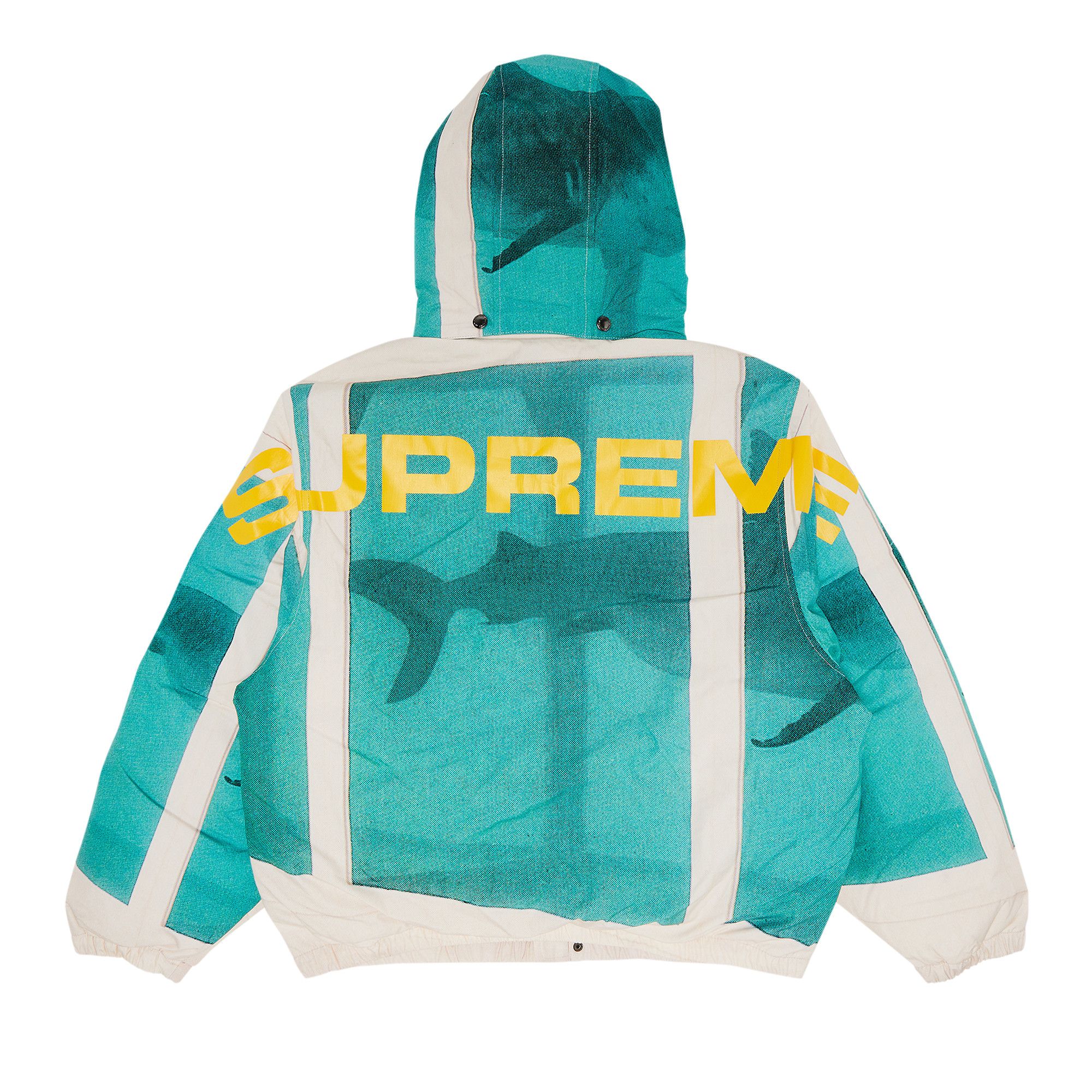 Buy Supreme x Damien Hirst Down Puffer Jacket 'White