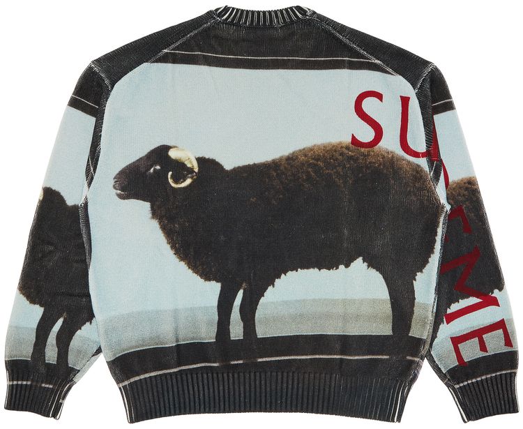 Supreme x Damien Hirst Sweater Black