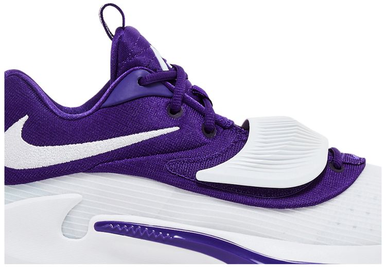 Nike Zoom Freak 3 TB Court Purple
