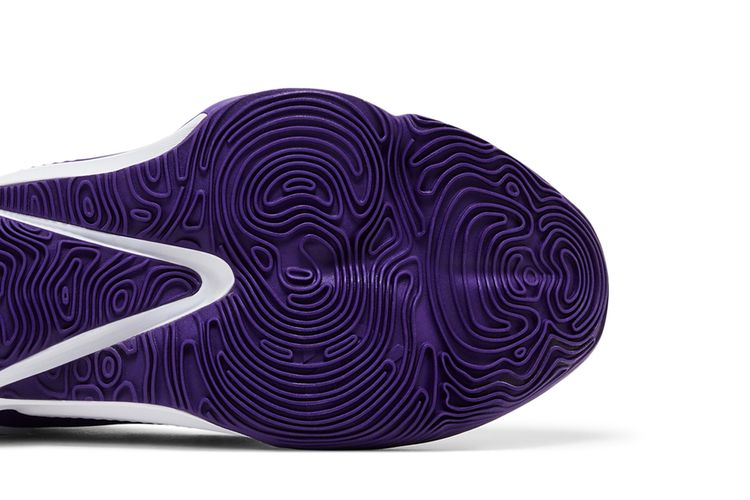 Nike Zoom Freak 3 TB Court Purple