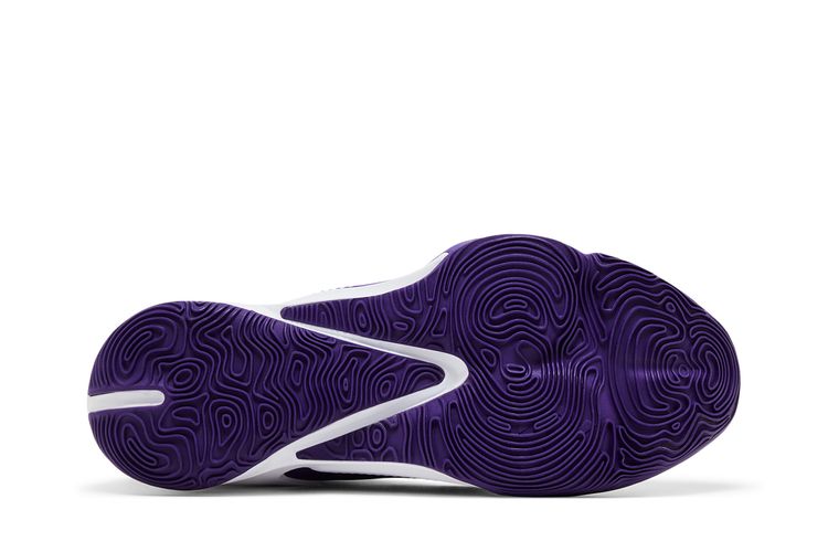 Nike Zoom Freak 3 TB Court Purple