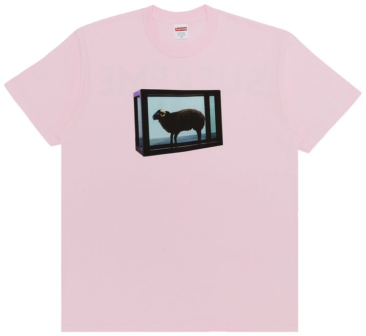 Supreme x Damien Hirst Tee Light Pink