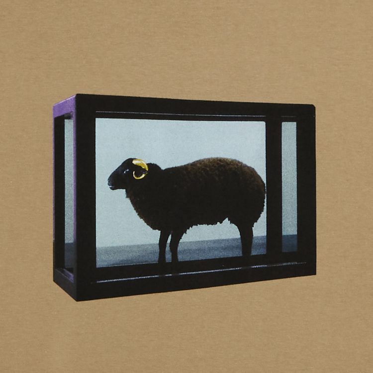 Buy Supreme x Damien Hirst Tee  