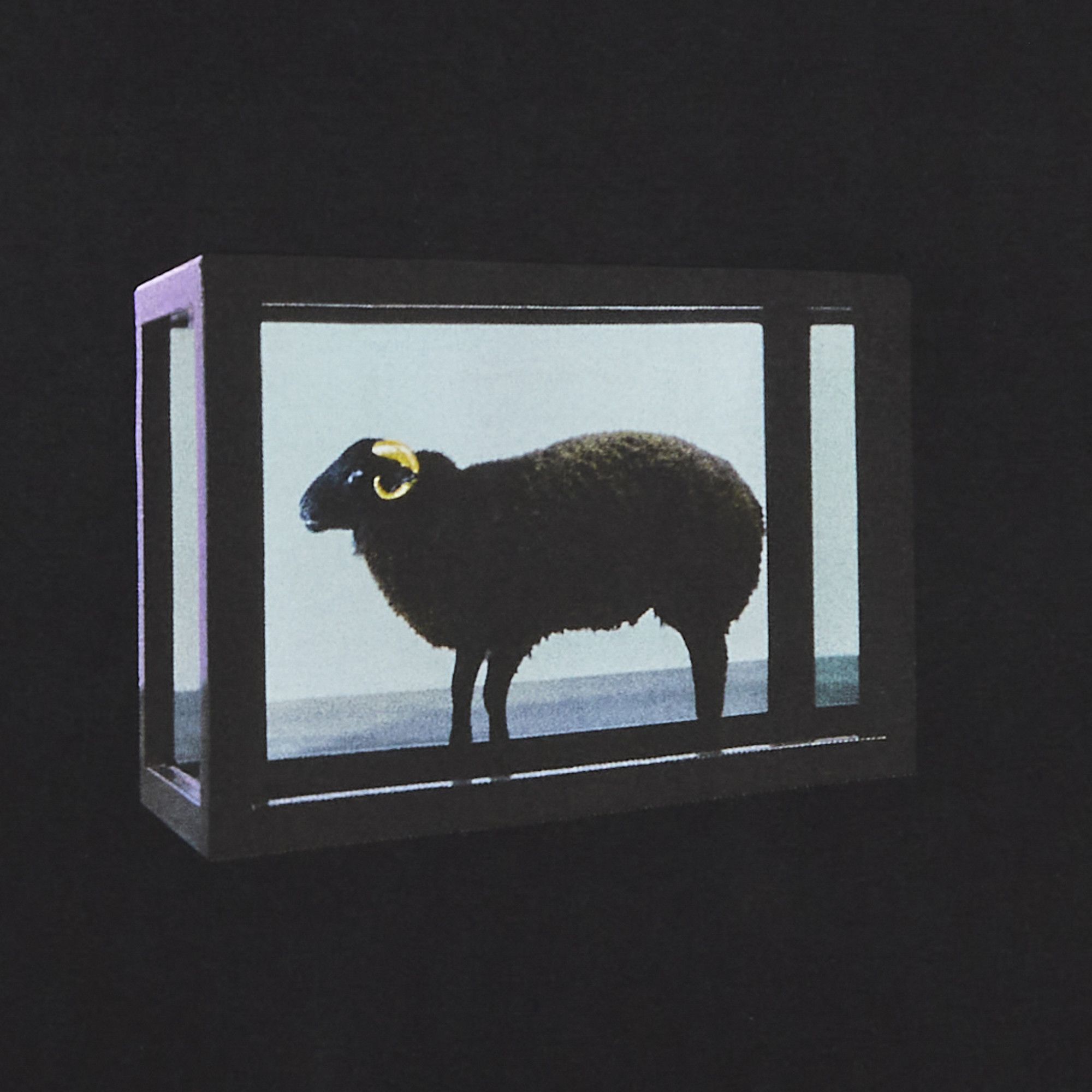 豪奢な x Supreme Buy Damien GOAT | BLACK SS25T5 - 'Black' Tee Hirst トップス