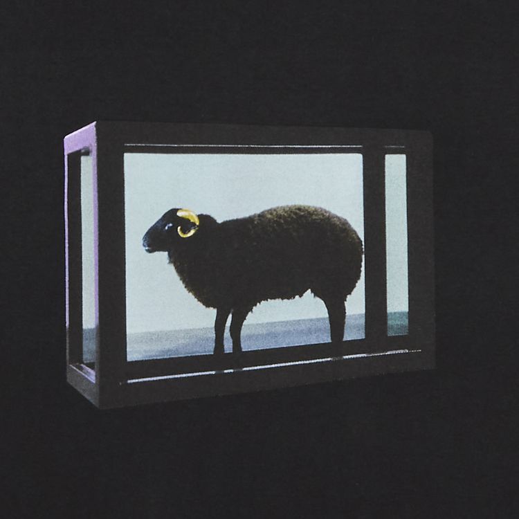 Buy Supreme x Damien Hirst Tee  