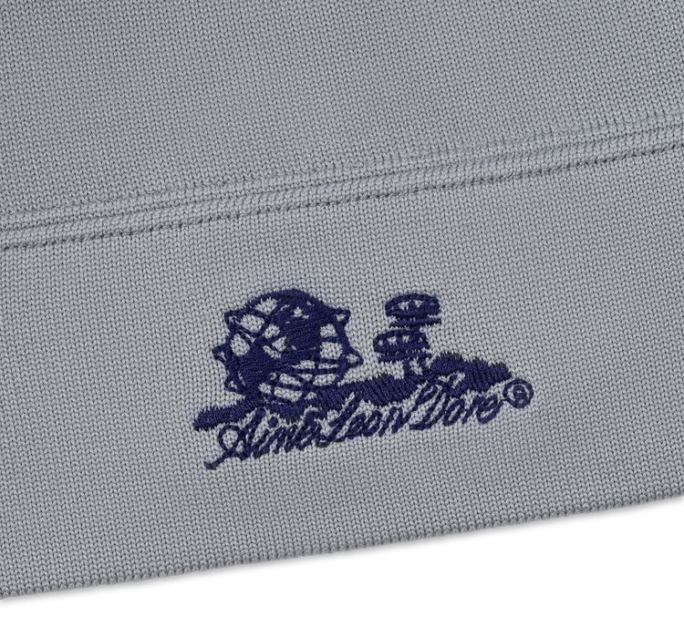 Aime Leon Dore Unisphere Skull Cap Grey