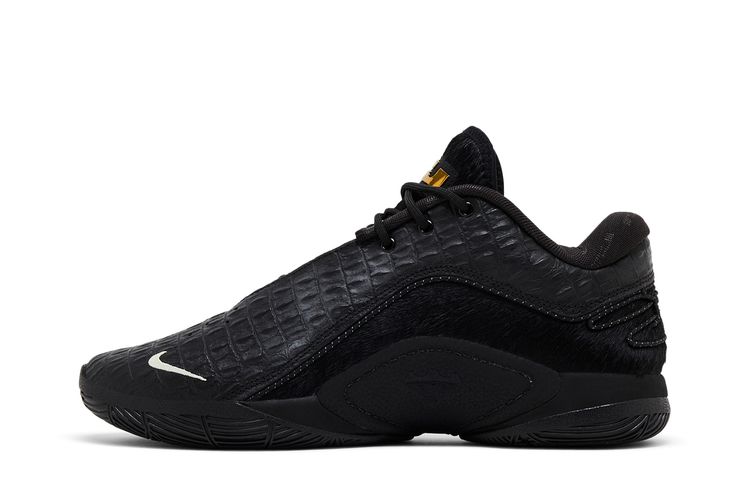 LeBron 22 LX Black Label Pack