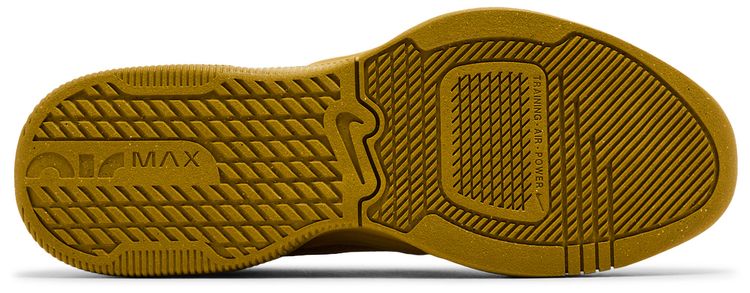 Nike Air Max Alpha Trainer 5 Bronzine