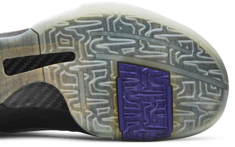 Nike Zoom Kobe 5 Playoff Carpe Diem