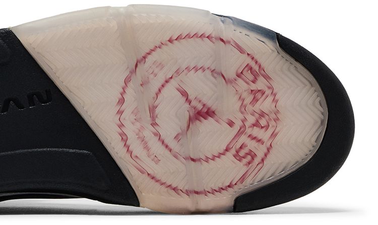 Paris Saint Germain x Air Jordan 5 Retro Friends  Family