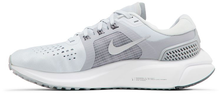 Nike Wmns Air Zoom Vomero 15 Pure Platinum Metallic Silver