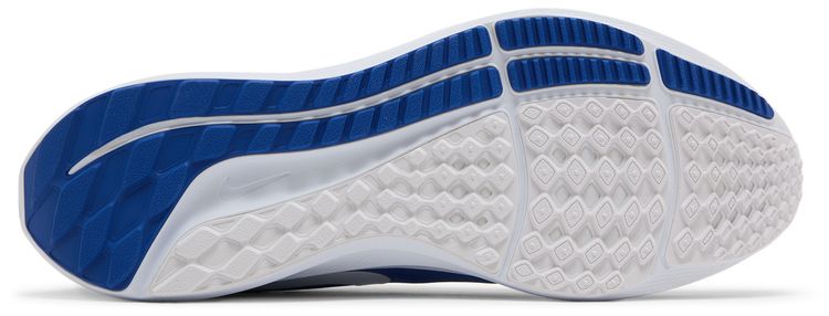 Nike Air Zoom Pegasus 39 Duke