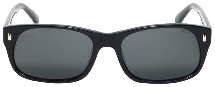 Stussy Michael Sunglasses BlackBlack Lens