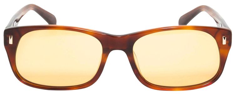 Stussy Michael Sunglasses TortoiseBrown Lens